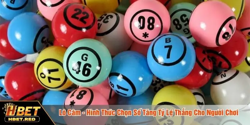 Lô Câm - Hình Thức Chọn Số Tăng Tỷ Lệ Thắng Cho Người Chơi lô câm